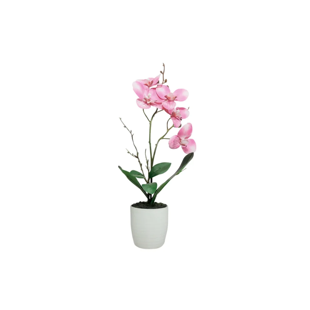 MATERA ORQUIDEA JARDIN R 60-94 MARRES