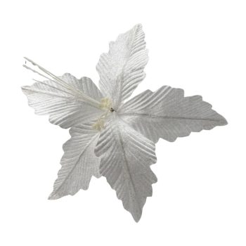 FLOR BLANCA NAVIDEÑA